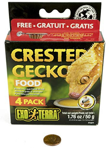 Exo terra crested gecko fashion food