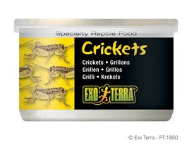 Exo Terra Crickets, Small Size, 1.2oz Pt1960{L+7} 015561219600