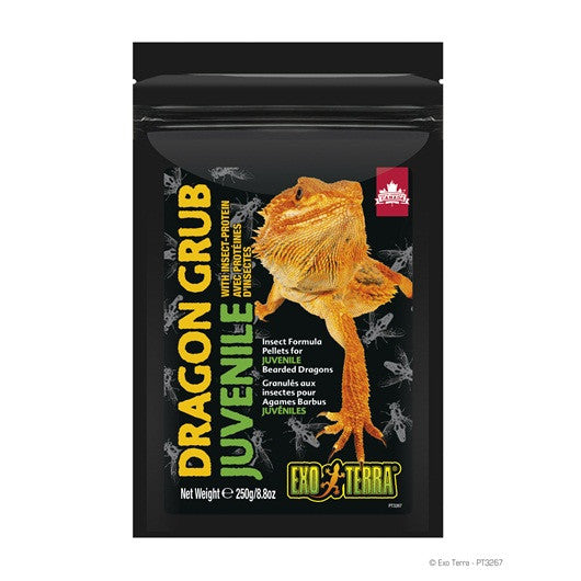 Exo Terra Dragon Grub, Juvenile 8.8oz Pt3267{L+7} 015561232678