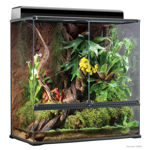 Exo Terra High Glass Terrarium 36’x18’x36’ SD - 3 - Reptile