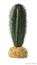 Exo Terra Plant, Saguaro Cactus Pt2981{L+7} 015561229814