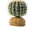 Exo Terra Plant Small, Barrel Cactus Pt2980{L+7R} 015561229807