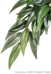 Exo Terra Silk Plant Large Ruscus Pt3051{L+7} 015561230513