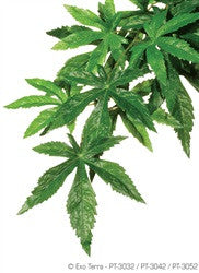 Exo Terra Silk Plant Small Abutilon Pt3032{L + 7} - Reptile