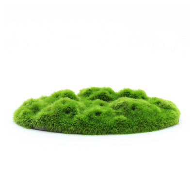 Penn-Plax Aqua-Flora Living Moss Patch Aquarium Ornament 2ea/One Size 030172050299