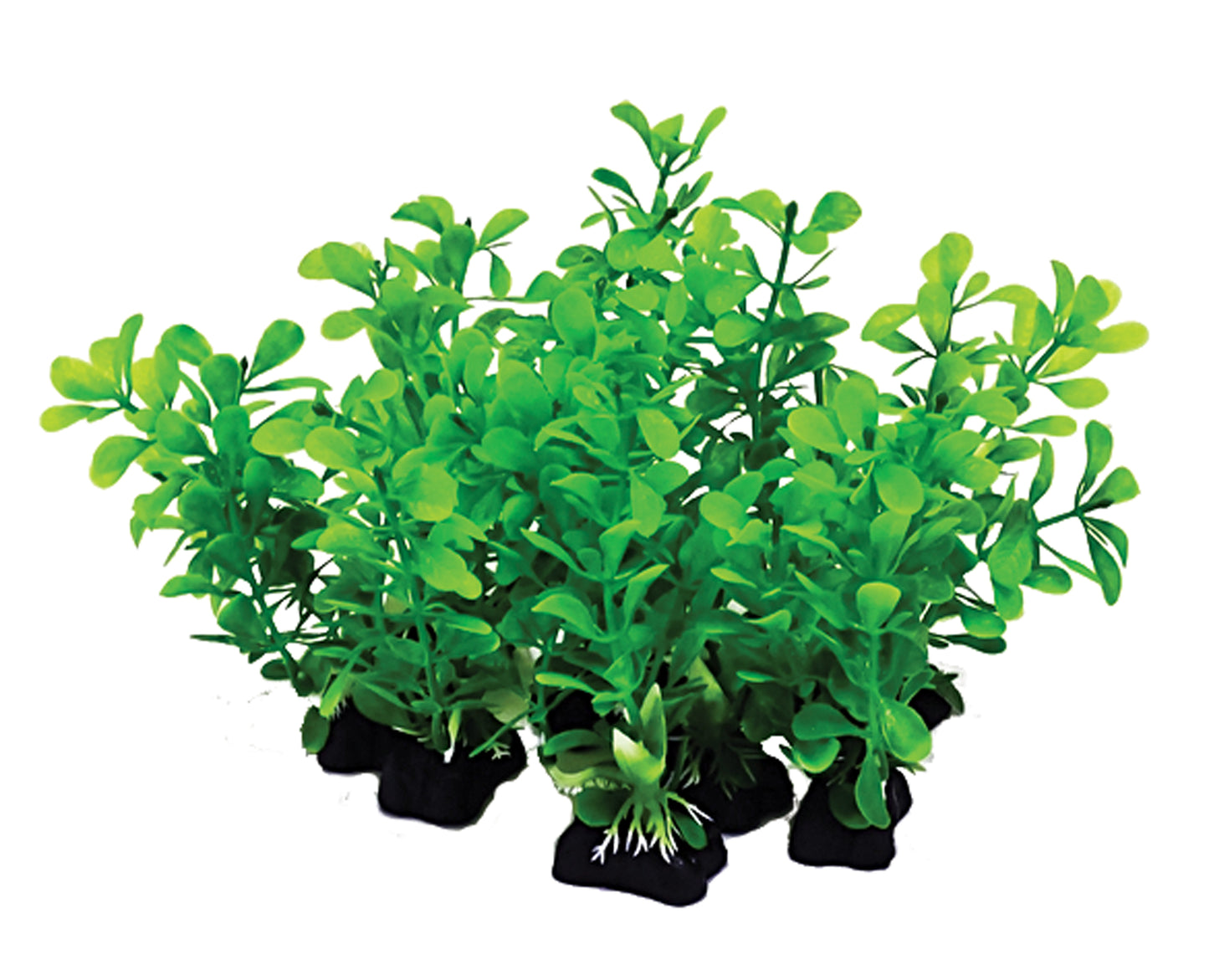 Aquatop Aquarium Plants Mix Green 6 in, 12 pk 810281012070