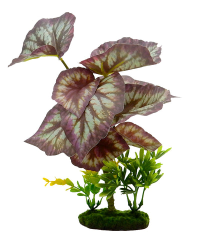Blue Ribbon Pet Products Tropical Gardens Caladium Bicolor Aquarium Plant 11 in 030157021016