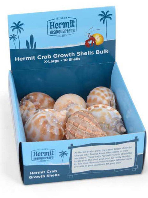 Flukerās Hermit Crab Growth Shells Display Assorted 10pk XL - Reptile