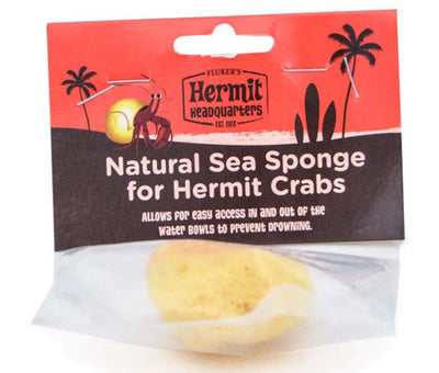 Fluker's Hermit Crab Natural Sea Sponge Yellow