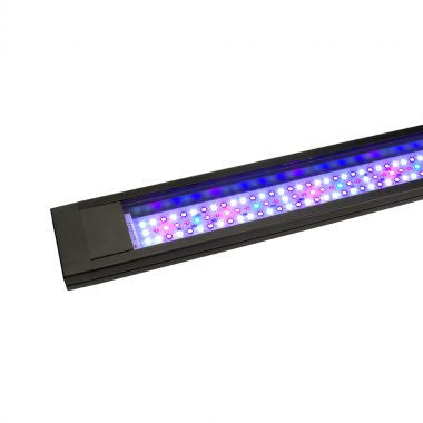 Fluval Flex 32gal. Marine/Reef LED 3.0(RR) 015561145138