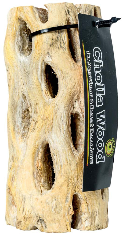 Galapagos Cactus Skeleton Cholla Wood Brown 12 in