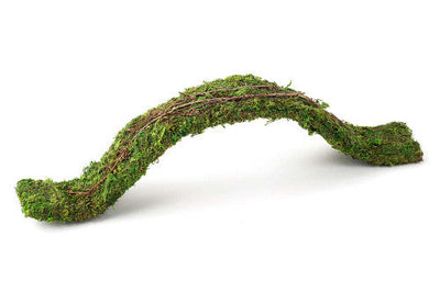 Galapagos Flexible Bridge Terrarium Ornament Fresh Green 2 ft - Reptile