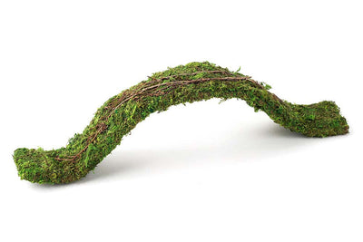 Galapagos Flexible Bridge Terrarium Ornament Fresh Green 2 ft