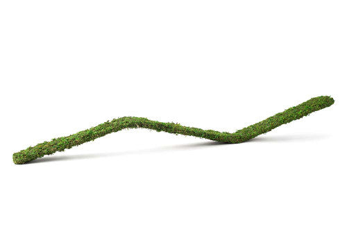 Galapagos Flexible Bridge Terrarium Ornament Fresh Green 3 ft - Reptile