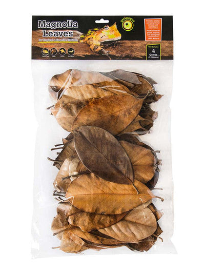 Galapagos Magnolia Leaves for Tropical & Bioactive Habitats Brown 4 qt - Reptile