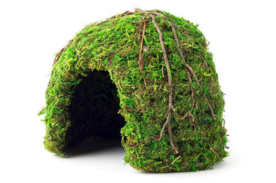 Galapagos Mossy Dome Terrarium Hideaway Fresh Green 6 in - Reptile