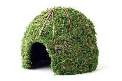 Galapagos Mossy Dome Terrarium Hideaway Fresh Green 9 in - Reptile