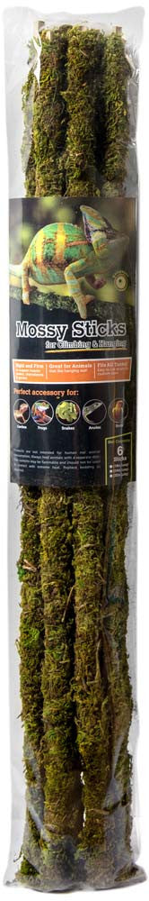 Galapagos Mossy Sticks Terrarium Ornament Fresh Green 24 in 6 Count