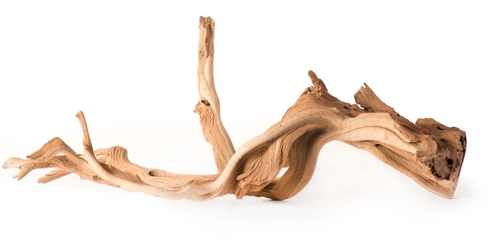 Galapagos Staghorn Wood Manzanita Root Brown 13 in - 18 in
