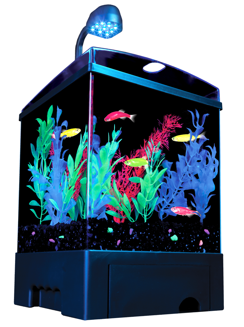 GloFish Aquarium Kit Black, Clear 1.5 gal