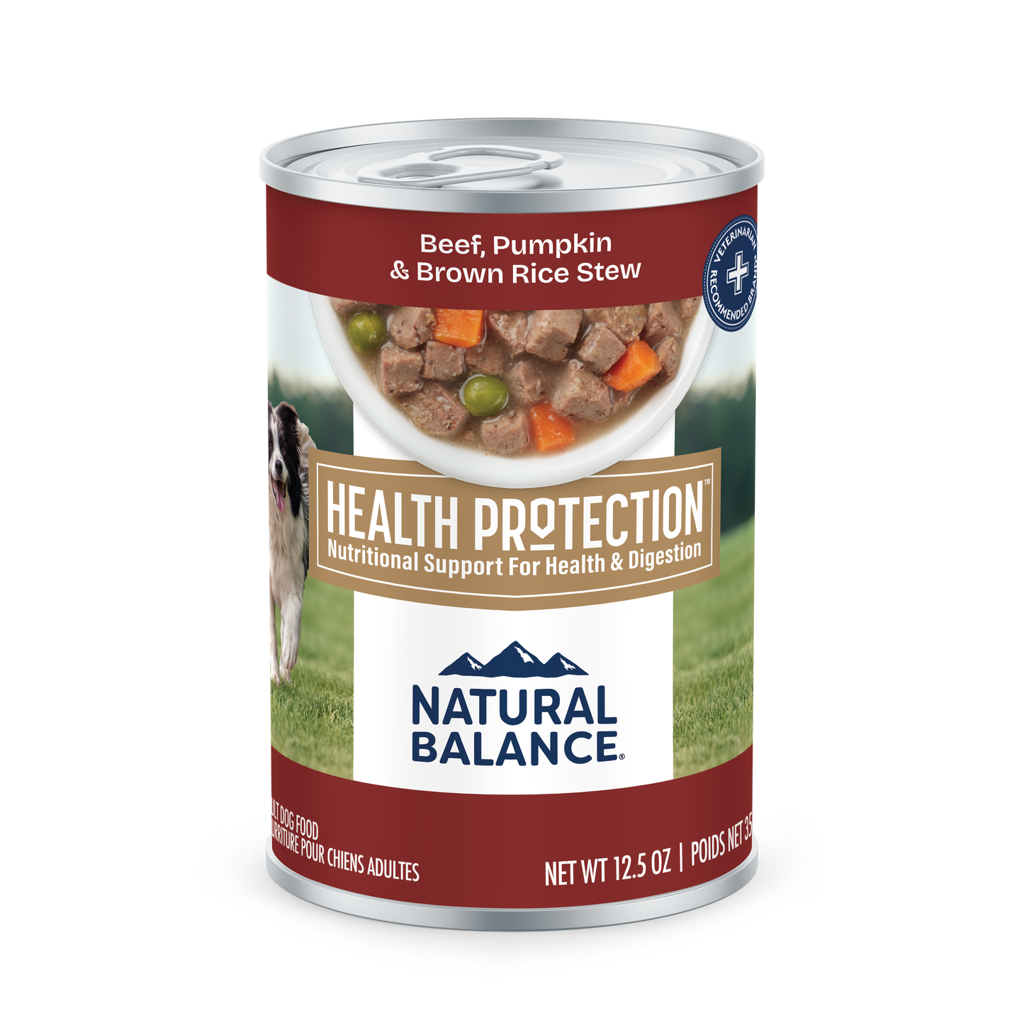 Natural Balance Pet Foods Health Protection Beef & Pumpkin Stew Can Dog Food Beef & Pumpkin 6ea/12.5 oz 723633007238