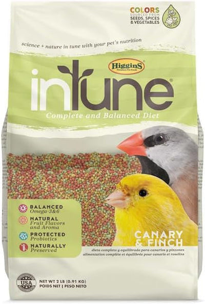 Higgins in Tune Canary & Finch 2 lb - Bird