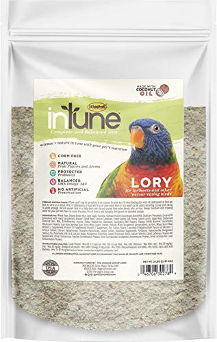Higgins Intune Food For Lorikeets 2# C=6 046706302789