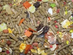 Higgins Sunburst Rabbit 25lb {L - 1}466904 - Small - Pet