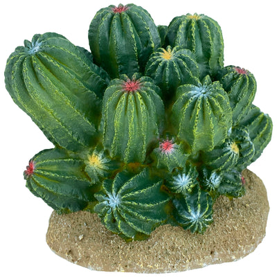 Komodo Cactus Plant Barrel 4 in 784369933215