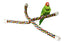 JW Pet Comfy Perch Cross Multi - Color LG - Bird