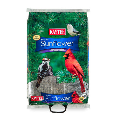 Kaytee Black Oil Sunflower Food 20 Pounds - Bird