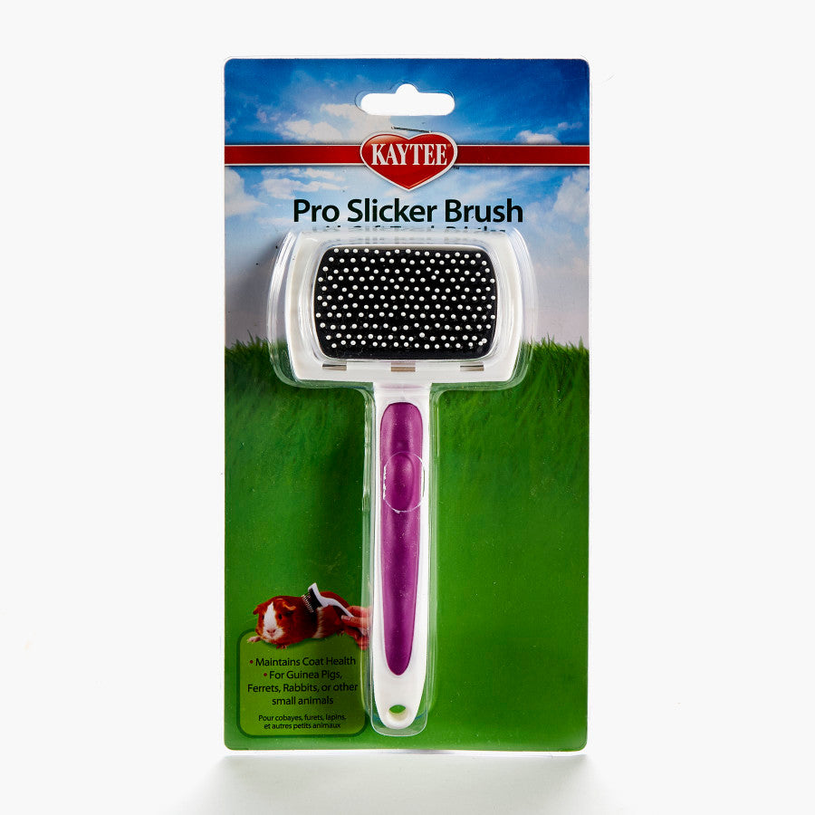 Kaytee Pro - Slicker Brush White - Small - Pet