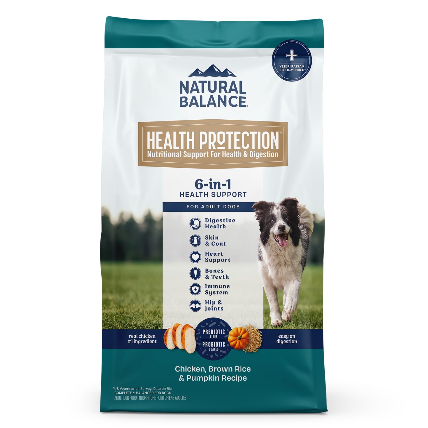 Natural Balance Pet Foods Health Protection Dry Dog Food Chicken, Rice & Pumpkin 4 lb 723633006613