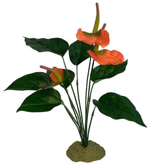 Komodo Anthurium Bush w/ Gravel - Reptile