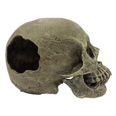 Komodo Full Human Skull Reptile Hideout Gray One Size