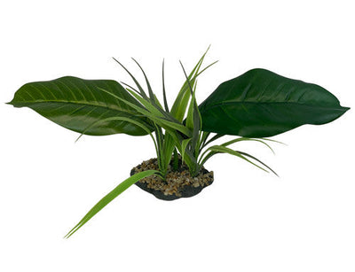 Komodo Woodland Canopy Plant 42cm - Reptile