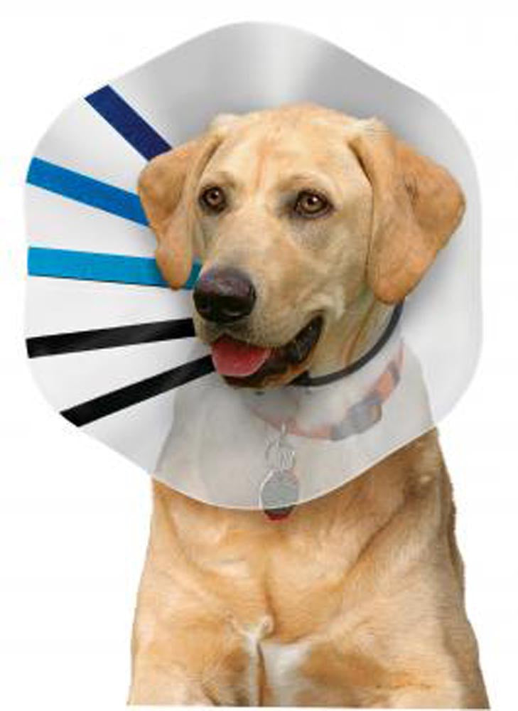 KONG E-Collar Clear/Blue/Black XL