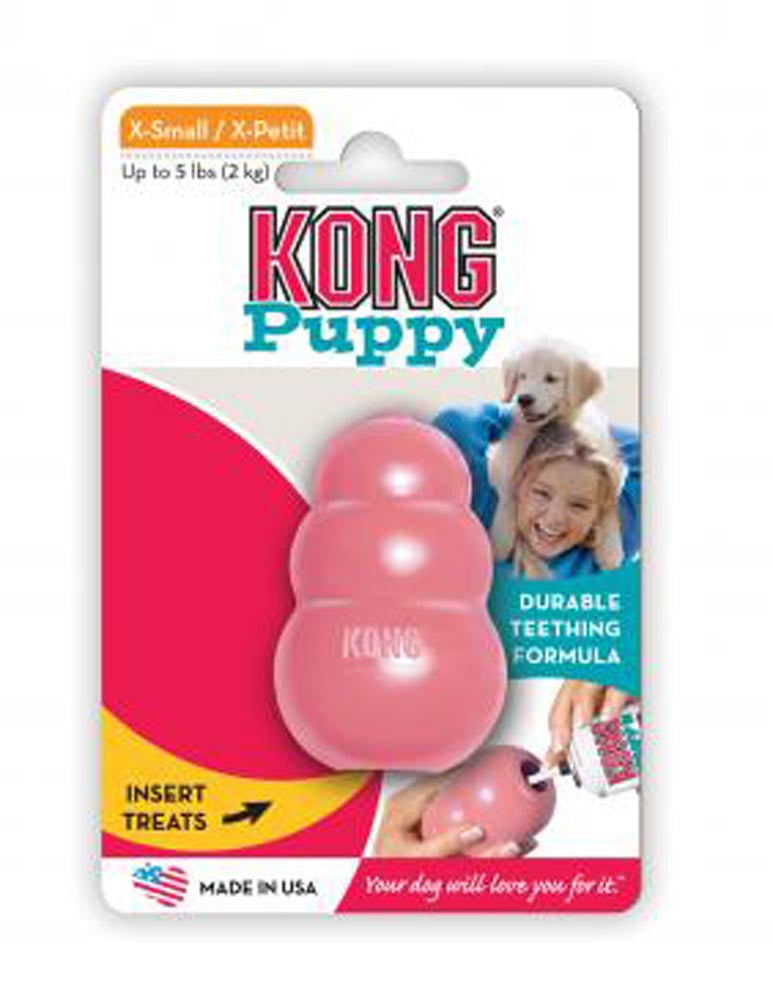 KONG Puppy Toy Assorted XXS