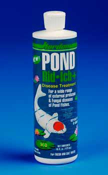 Kordon Pond Rid Ich 16oz {L+1}479013 048054310461