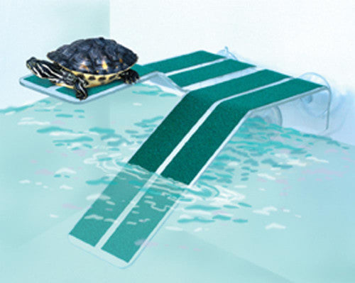 Kordon Turtle Ramp Green/Clear MD - Reptile