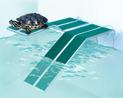 Kordon Turtle Ramp Green/Clear MD - Reptile