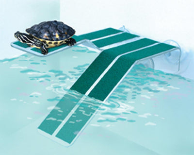 Kordon Turtle Ramp Green/Clear MD