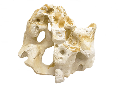 Hikari USA Resin Texas Holey Rock 12 In X 5.9In X 9.5 in 042055963220