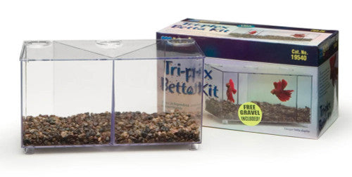 Lees Triplex Betta Tank Clear 24 oz - Aquarium