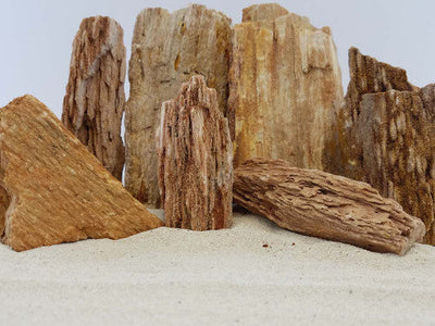 Lifegard Aquatics Burma Petrified Stone Brown 44lb SM - Aquarium