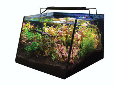 Lifegard Aquatics Full - View Aquarium with Built - in Back Filter Complete Kit Black Clear 7 gal