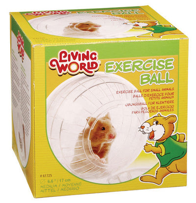 Living World Exercise Ball Medium - Small - Pet