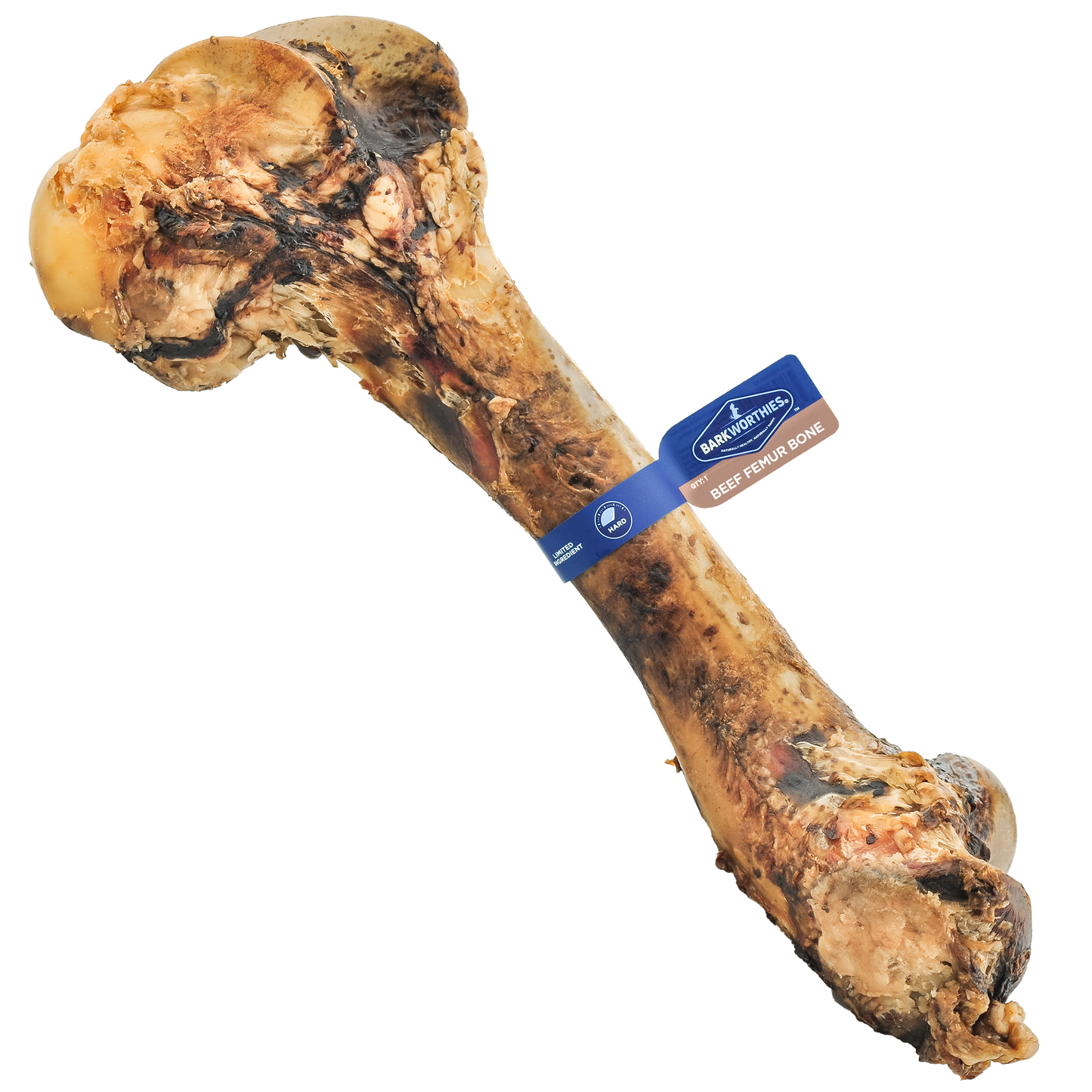 Barkworthies Femur Bone 816807011251