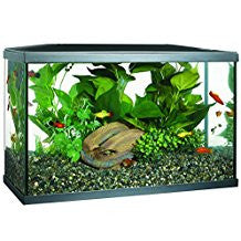 Marina 10 Gallon Led Aquarium Kit, 10 Gal 015561152563