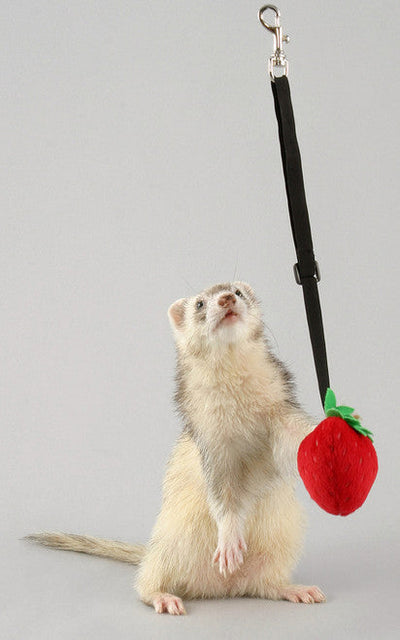 Marshall Ferret Bungee Toy Platypus Pink One Size - Small - Pet